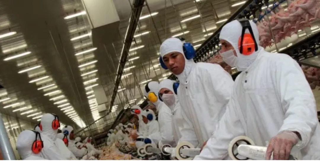 Brasil suspende exportaciones de pollo a China y UE tras brote de gripe aviar