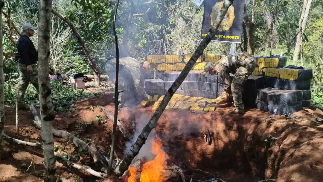 Destruyen alrededor de 7.000 kilos de marihuana en reserva forestal de una alcoholera